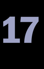 Number '17' T shirt