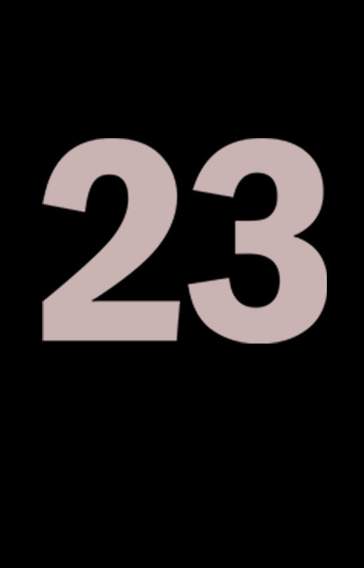 Number '23' T shirt