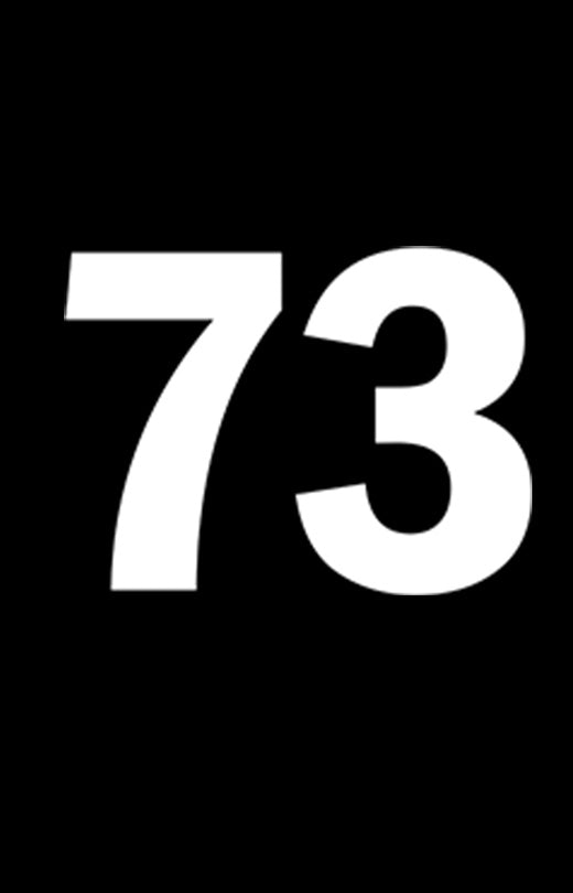 Number '73' T shirt